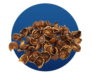 Cascara Sagrada in Finessa