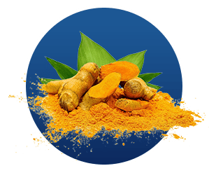 Turmeric in Finessa